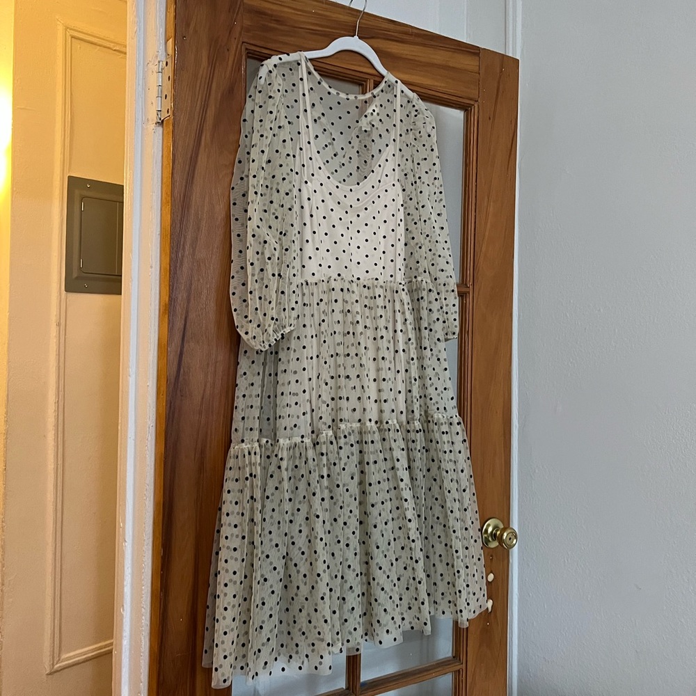 Polka Dot Tulle Dress